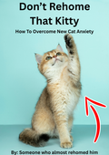 How to Overcome New Cat Anxiety PDF guide cover