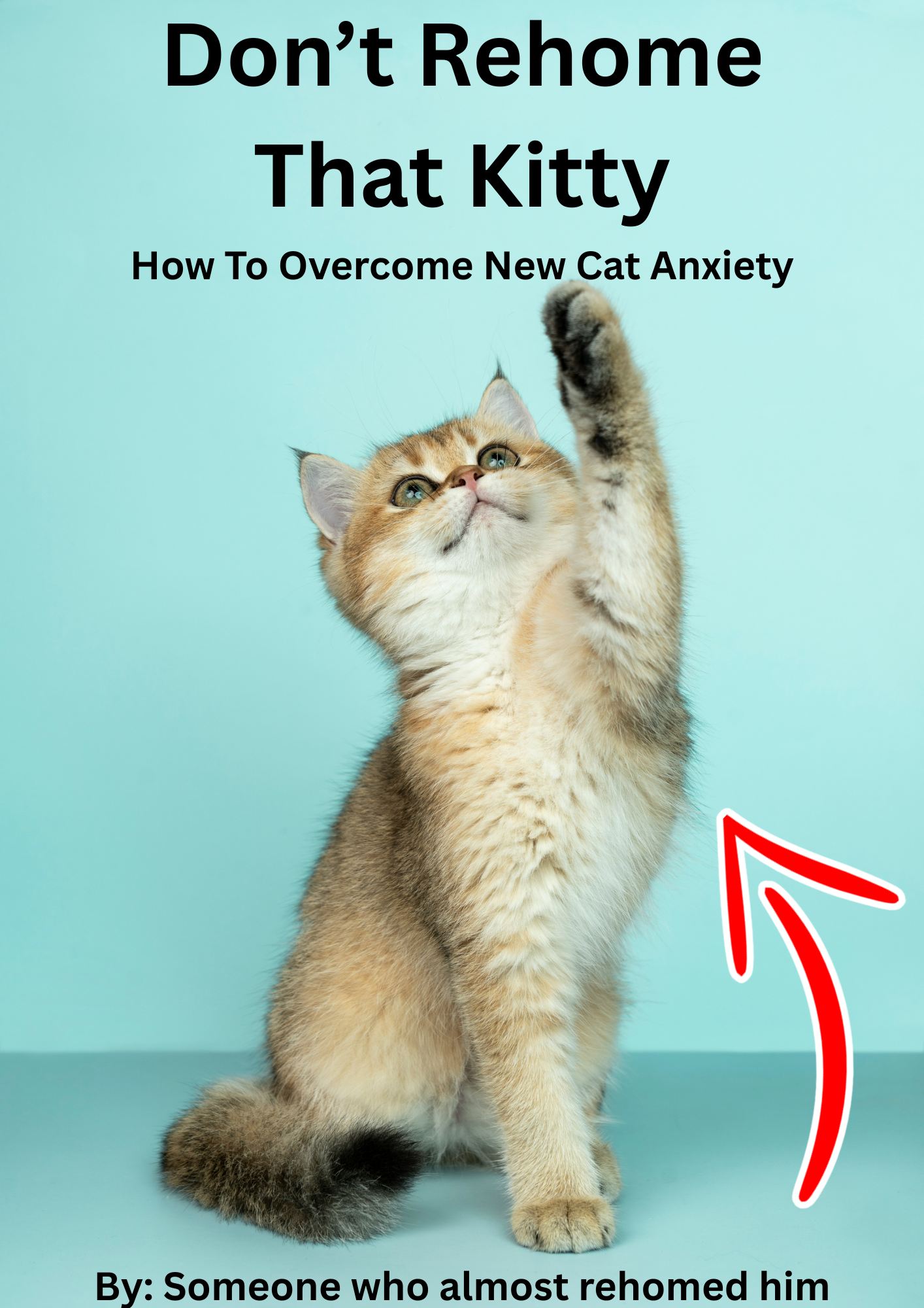 How to Overcome New Cat Anxiety PDF guide cover